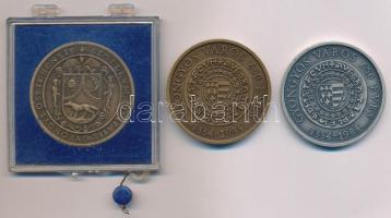 Bognár György (1944-) 1984. "MÉE Gyöngyösi Csoport - Gyöngyös 1334-1984" Br emlékérem plom...