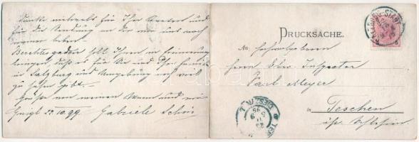 1899 Bad Reichenhall, folding panoramacard (EK)