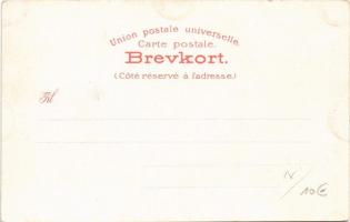 Hardangerbrud / Norwegian folklore. Sostrene Persen (Bergen) No. 69. (fl)