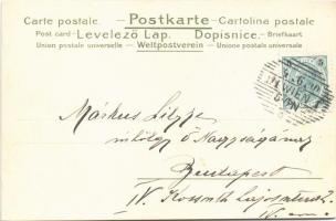 1900 Art Nouveau lady art postcard. litho