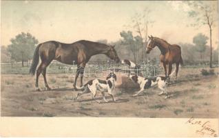 1907 Hunting dogs with horses. M. Munk Vienne Nr. 222.