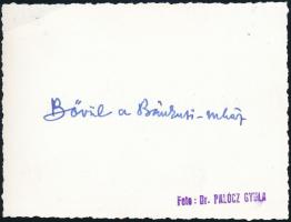 cca 1940 Bánkút (Nagyvisnyó), Magyar Turista Egyesület menedékháza a Bükk-hegységben, fotó hátoldalo...