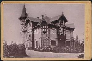cca 1890 Villa a Csorba-tónál, Magas-Tátra, keményhátú fotó, 10,5×16 cm