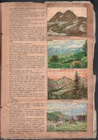 cca 1930 Utazás Erdélyben, a Szent István Cikóriagyár matricagyűjtő albuma. Teljes, 64 beragasztott ...