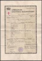 1919 Törökbecse gimnáziumi bizonyítvány