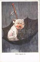 1928 Délre vágyom én / Bonzo Dog in the rain. B.K.W.I. Bonzo-Serie XI/1. s: G. E. Studdy (EK)