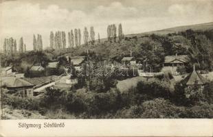 Sólymosy Sósfürdő
