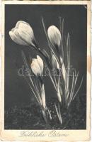 1939 Fröhliche Ostern / Easter greeting art postcard (EK)
