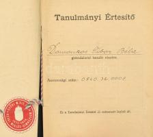 cca 1930-2000 Vegyes igazolvány és okmány tétel: benne több ezüst, gyémánt diploma, kitüntetés oklev...