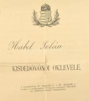 cca 1930-2000 Vegyes igazolvány és okmány tétel: benne több ezüst, gyémánt diploma, kitüntetés oklev...