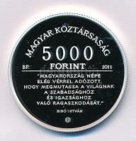 2011. 5000Ft Ag "Bibó István" kapszulában, tanúsítvánnyal T:PP 
Adamo EM241
