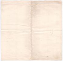 Budapest 1916. "Budapesti villamos városi vasút részvény-társaság" élvezeti jegye T:III