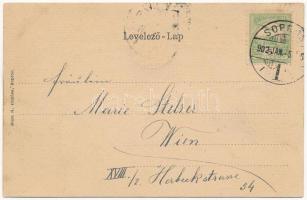 1902 Sopron, Deák tér. Szecessziós litho címerrel, Blum N. kiadása / Art Nouveau