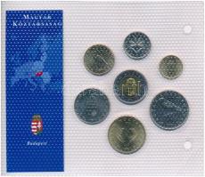 1995-2003. 1Ft-100Ft (7xklf) "Európa utolsó pénzei" vákuumcsomagolt forgalmi szett T:1,1-