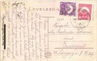 1923 Balassagyarmat, Ipolypart, Demarkációs vonal, híd, irredenta