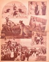 cca 1920-1930 Krone Europa legnagyobb cirkusza. Bp., Athenaeum, fekete-fehér fotókkal, szakadt, ross...