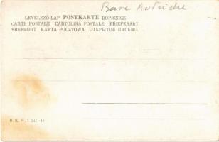 Niederösterreich / Basse Autriche / Osztrák népviselet és címer / Austrian folklore and coat of arms...