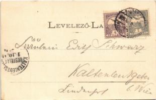 1901 Budapest IX. Látkép az elevátorból, Citadella, Gellért tér még befejezetlen, vasúti sínek. Diva...