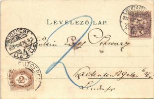 1901 Budapest V. Pesti rakpart, háttérben a budai Szilágyi Dezső téri református templom, Blum-féle ...