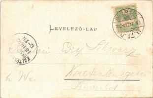 1902 Budapest V. Károly körút, villamosok, Anker Udvar, Fischer, Schlesinger és Ranschbur üzlete, St...