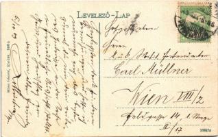 1909 Pétervárad, Peterwardein, Petrovaradin (Újvidék, Novi Sad); vár, hajóhíd, "ALADÁR" gő...