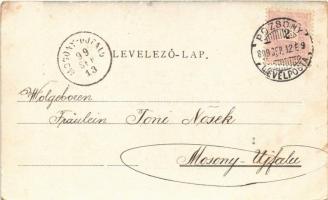 1899 (Vorläufer) Pozsony, Pressburg, Bratislava; Pozsonyi Helyi Iparkiállítás, vendéglő kerthelyiség...