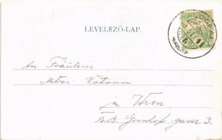 1905 Várgedefürdő, Kúpele Hodejov; Rózsa lak, fürdő udvar / villa, spa  (EK)