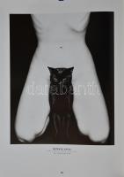 Art Director's index to photographers  22 . I-II. by Rotovision 1997. Kiafói kartonálásban, kia...