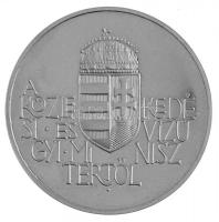 Ligeti Erika (1934-) DN "A Vízügyért / A Közlekedési és Vízügyi Minisztertől" peremen jelz...