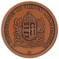 DN "Áldás és átok a víz / A Közlekedési és Vízügyi Minisztertől" jelzetlen Br emlékérem, n...