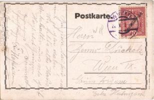 Wien, Vienna, Bécs XIX. Döbling, Rockenbauer, Haltestelle Elektr. Strassenbahnlinie 38, 39. Wiens ge...