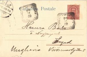 1900 Napoli, Naples; Palazzo Donn' Anna / palace, seashore. litho