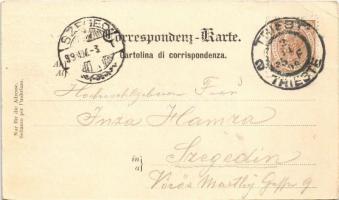 1899 Trieste, Trst; Via della Sanitá / street view. Alois Beer (EK)