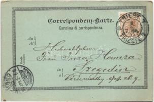 1899 Trieste, Trst; visto da Scorcola / general view, railway station, port (EK)