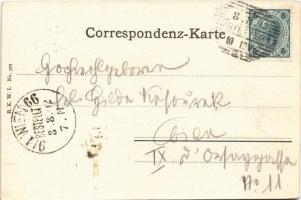1902 Wien, Vienna, Bécs; K.k. Gartenbau Gesellschaft Restaurant mit Capelle Sommer / restaurant gard...