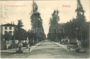 1900 Firenze, Viale del Poggio Imperiale / street view (EK)