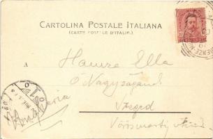 1900 Firenze, Viale del Poggio Imperiale / street view (EK)