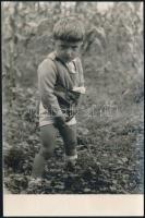 cca 1950 Kisfiú a szabadban, fotólap, 13×8,5 cm