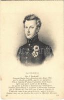 Napoleon II, Duc de Reichstadt