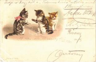 1899 Cats. Verlag v. Wezel & Naumann Serie IV. No. 6. litho (EK)