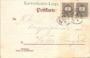 1899 Cats. Verlag v. Wezel & Naumann Serie IV. No. 6. litho (EK)