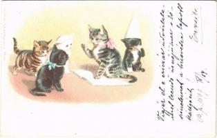 1899 Cats. Lith. u. Druck v. Kutzner & Berger. litho