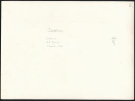 Jelzés nélkül: Delelés, fotó, hátoldalon feliratozva, 17,5×23,5 cm