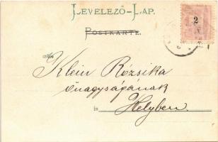 1899 Child flower art postcard. Serie No. 2. litho