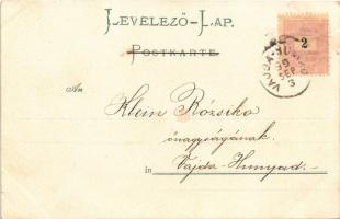 1899 Child flower art postcard. Serie No. 3. litho (kis szakadás / small tear)