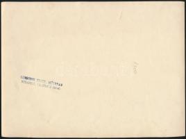 cca 1920-1930 Férfiak csoportképe, pecséttel jelzett fotó a Gárdonyi Testvérek budapesti műterméből,...