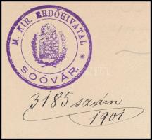1894-1901 Soóvár (Tótsóvár (Solivar), ma Eperjes (Prešov) városrésze), M. Kir. Erdőhivatal 2 db fize...