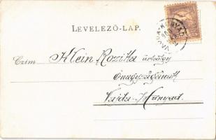 1900 Art Nouveau, floral greeting art postcard with winter landscape. B. Fürth 3256. litho (EK)