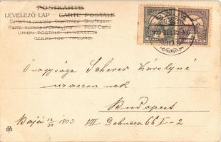 1903 Boldog Újévet! / New Year greeting art postcard, lady with pigs in a basket