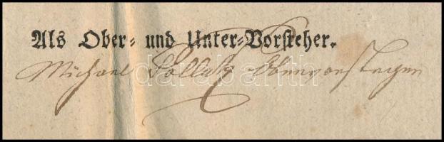 1817 Pest, kőműves és kőfaragó mesterlevél, rézmetszetű koronás nemzeti kiscímerrel, szárazpecséttel...